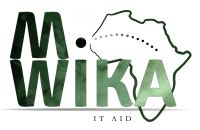 Global Mentorship Initiative